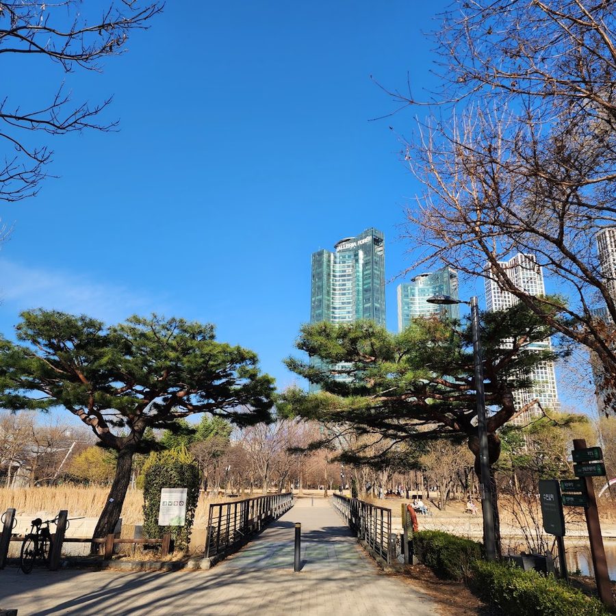Seoul Forest - Splash Fountain