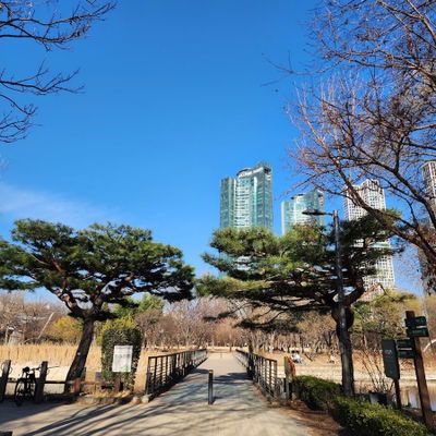 Seoul Forest - Splash Fountain