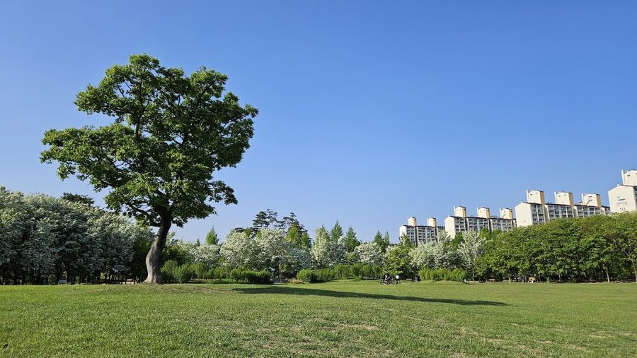 Deul Park