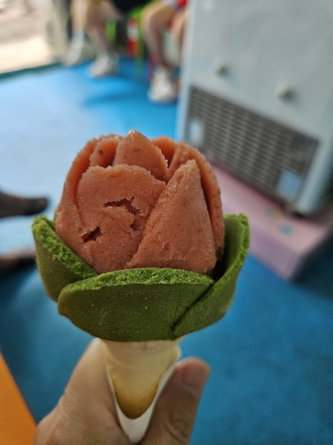 Kkochbongja