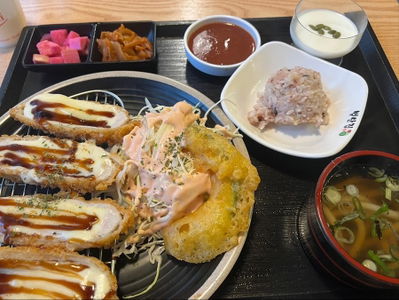 Donkatsu Pocha