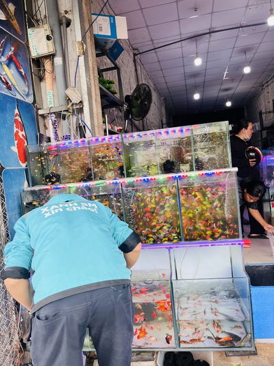 Cả Cánh Kiên Định