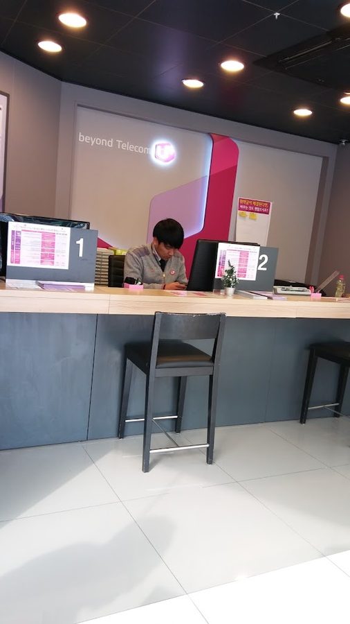 크로커다일 부산수영점
