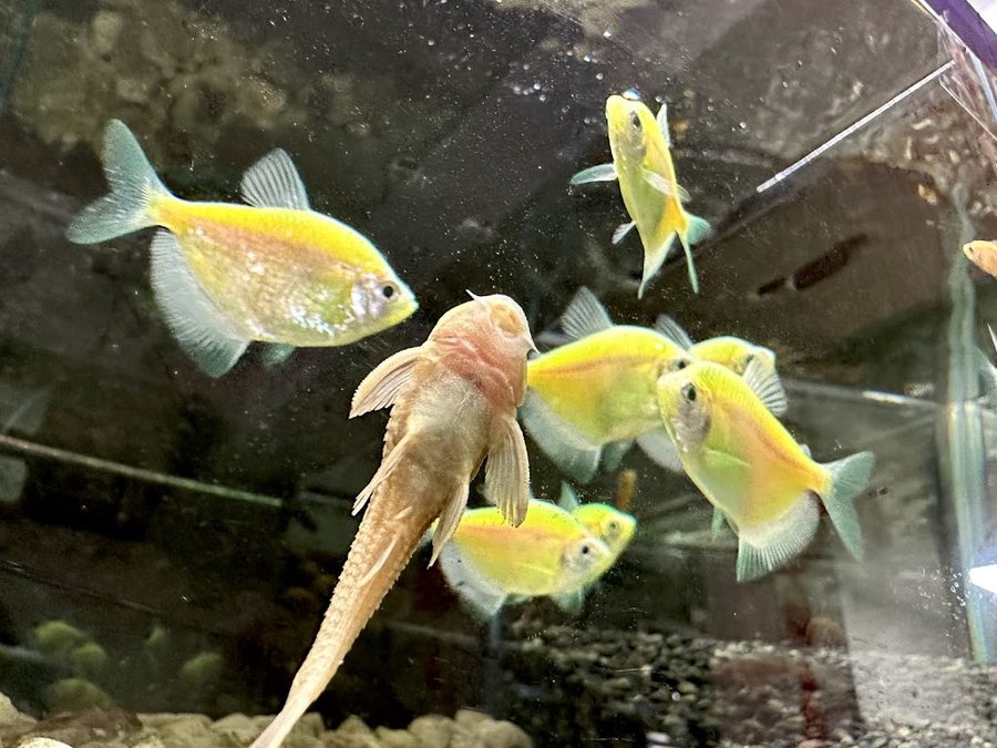 永和水族館