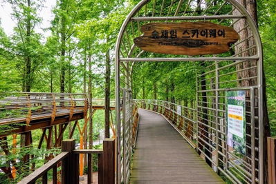 Jangtesan Recreational Forest