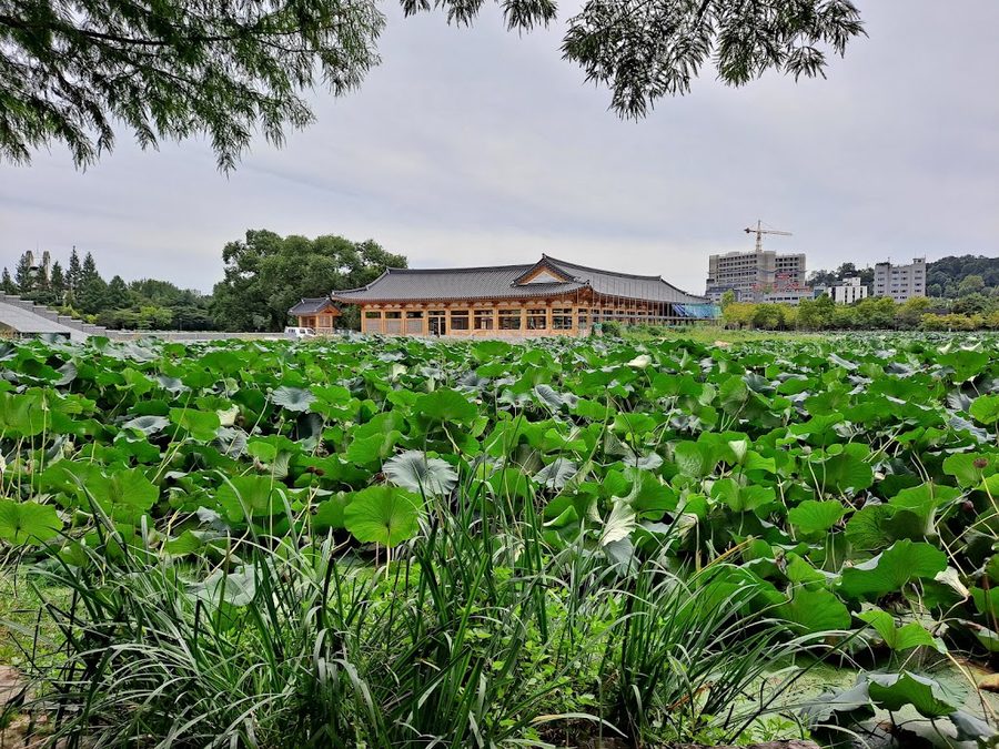 Deokjin Lake