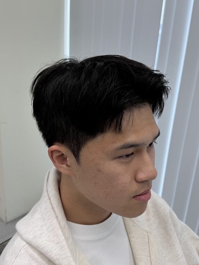 헤어비브