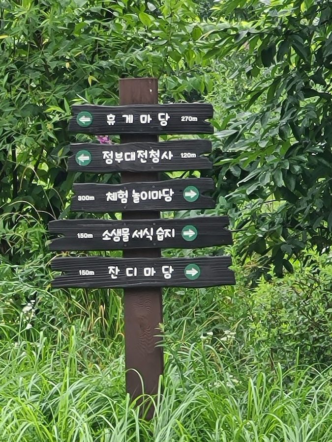Daejeon Gov. Complex Intercity Bus Dropoff