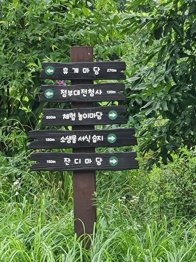 Daejeon Gov. Complex Intercity Bus Dropoff