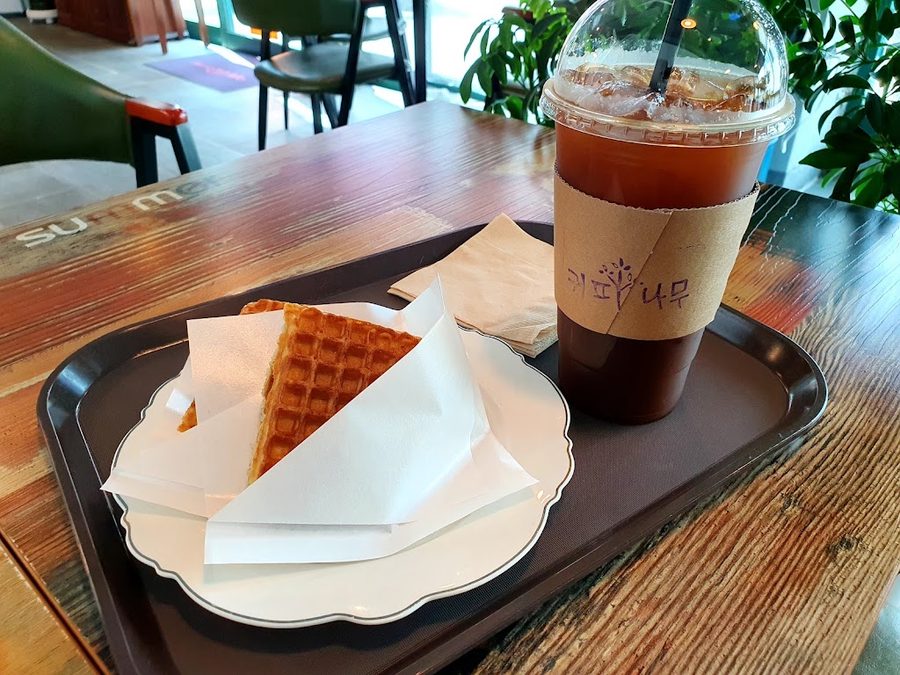 커피나무