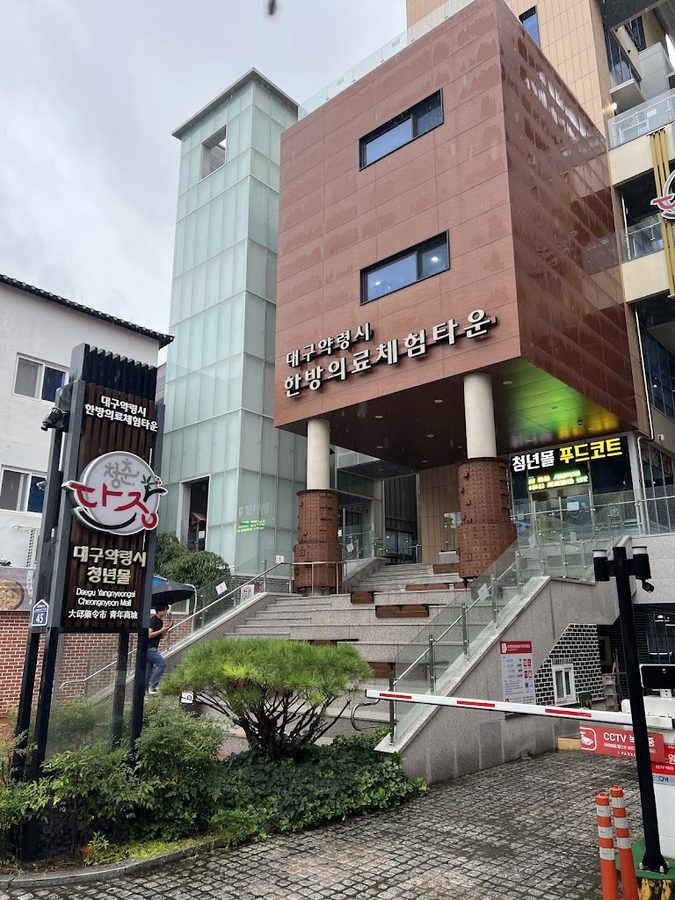 Hanbang Medical Experience Town