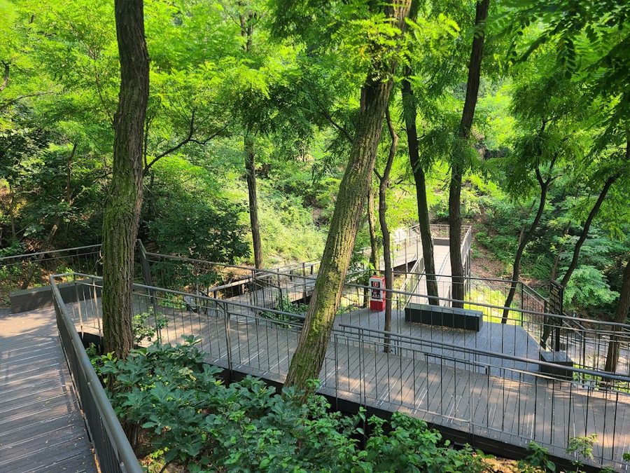 Namsan Jarak Sup-gil