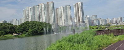 Dongtan Lake Park