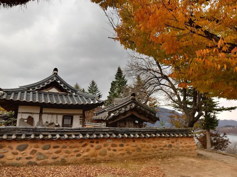 淸風文化遺産團地
