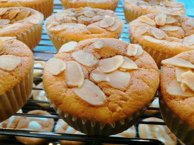 HONG Chiffon Cupcake
