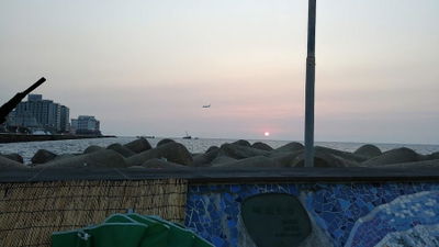 New Busan Hoetjip