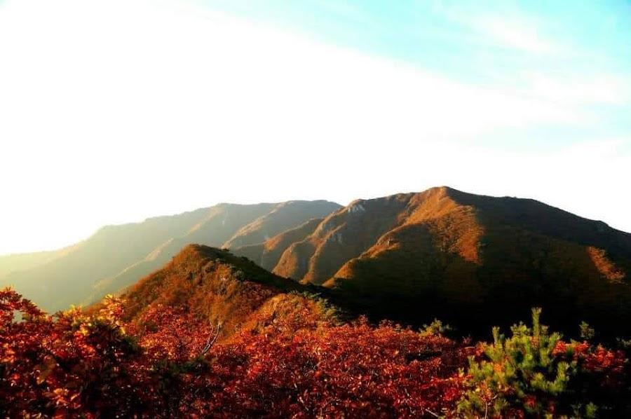 Yeongnam Alps