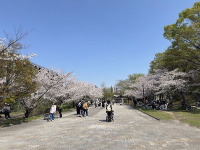 Umekōji Park