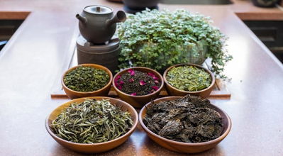Yee On Tea Co. - 義安茶莊