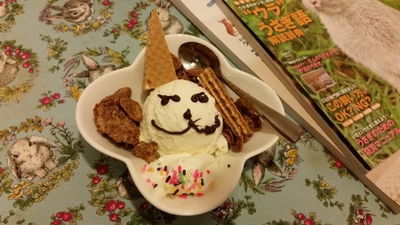 Bunny Cafe Moff Rell