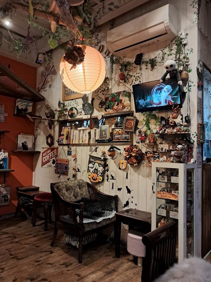Cat Picture Book & Cafe Nyaon