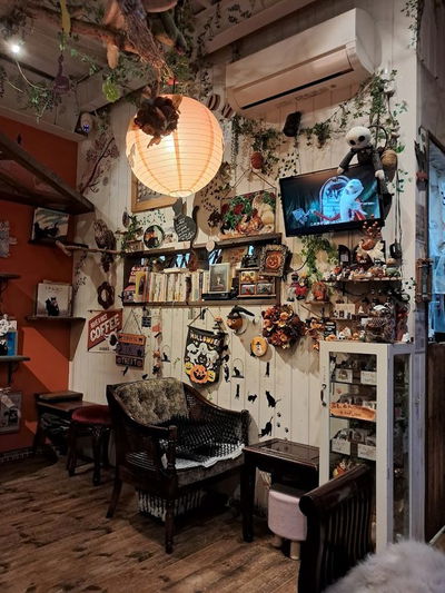 Cat Picture Book & Cafe Nyaon