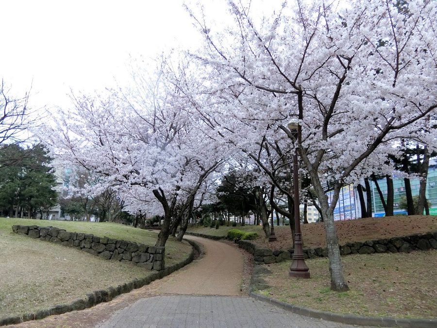 Nohyeong Park