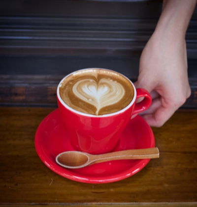 Shoto Cafe KYOTO