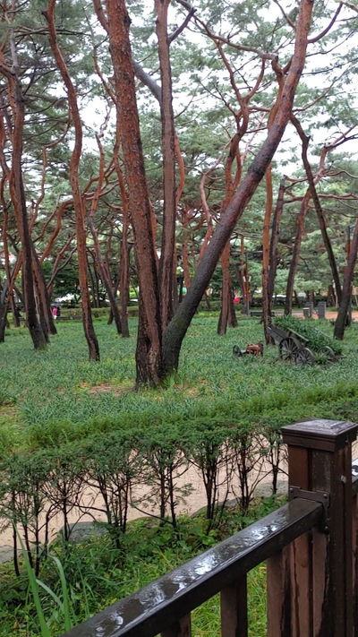 Solbat Neighborhood Park