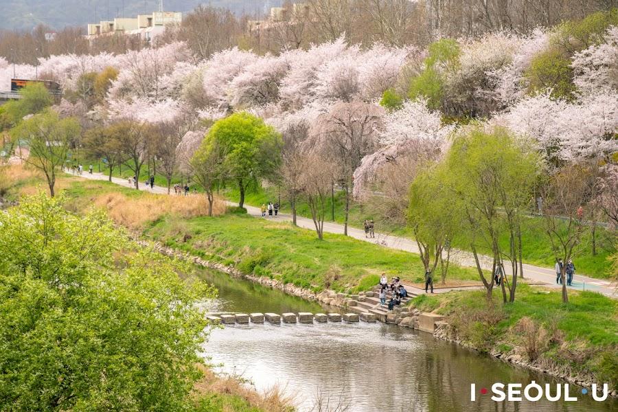 Yangjaecheon Stream