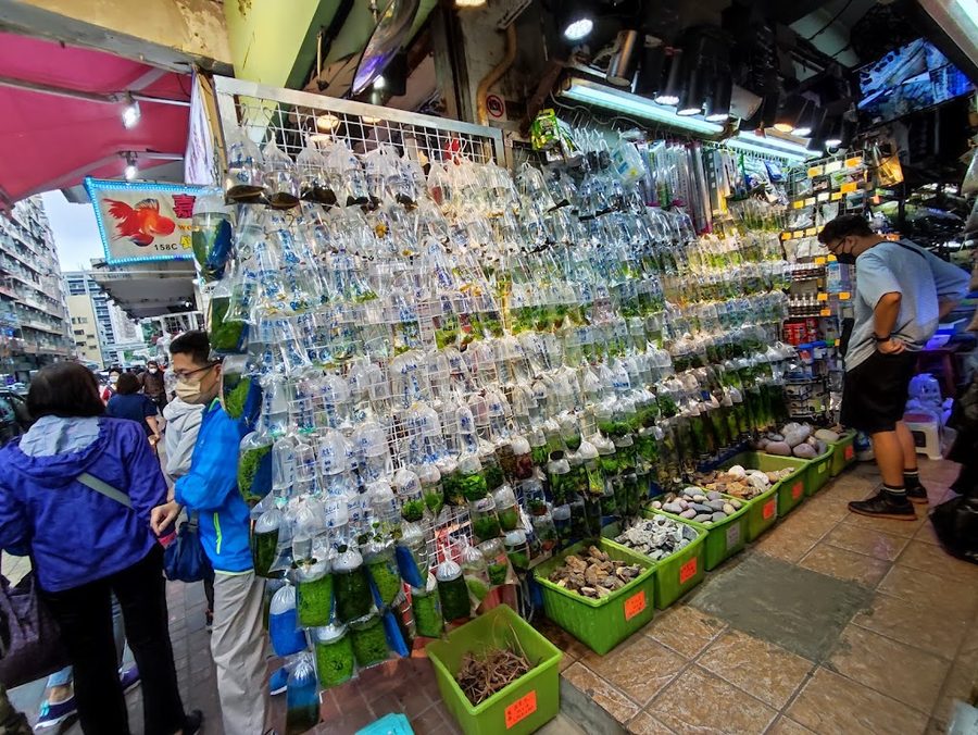 新大自然水族