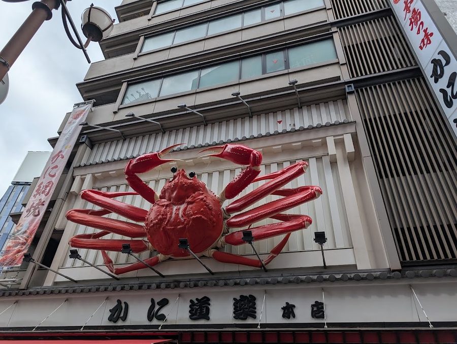 Dotonbori Shopping St