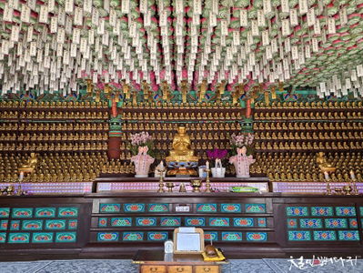 飛来寺 木造毘盧遮那仏座像