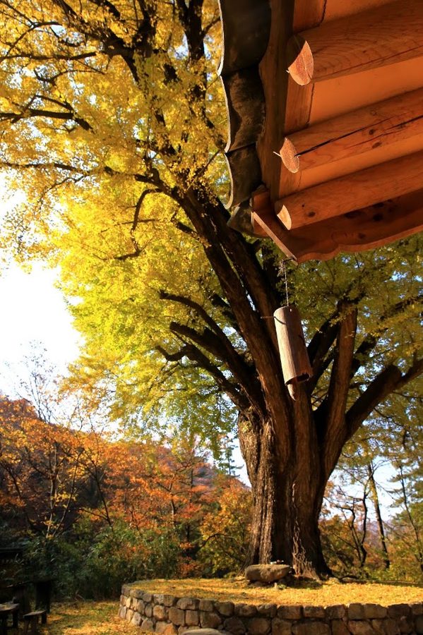 Gyeongju Yuyeonjeong