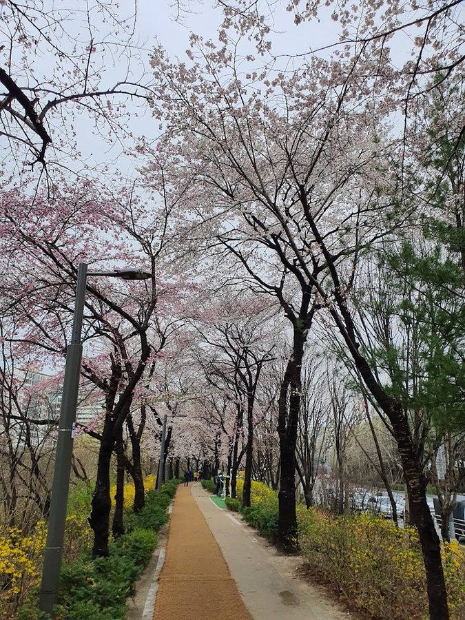 Choangyo