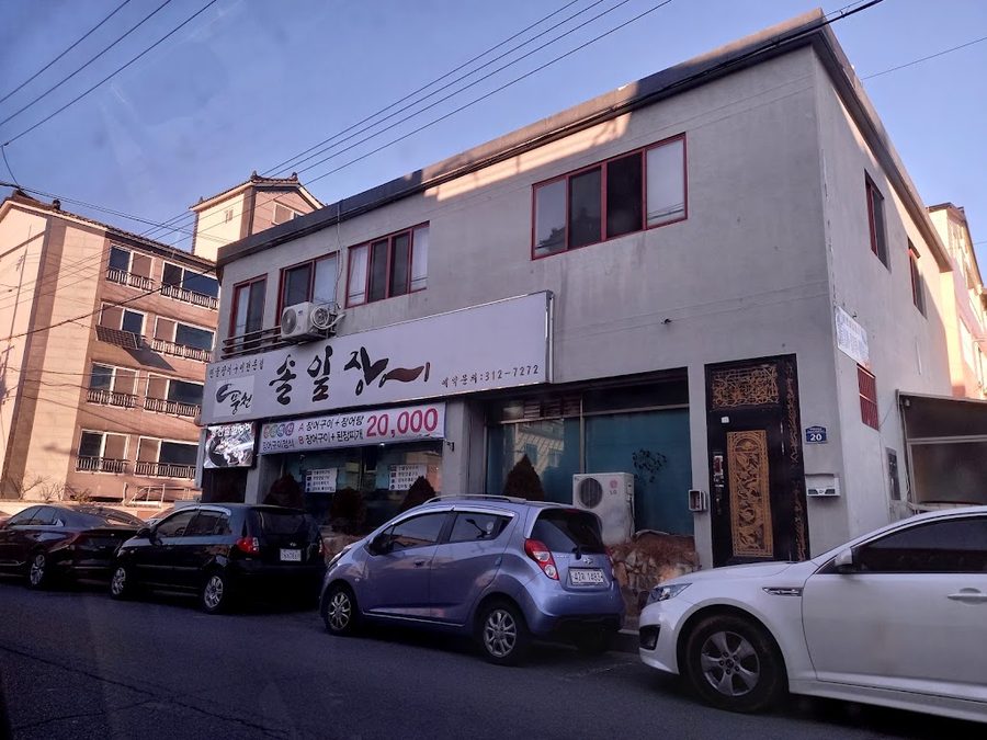풍천솔잎장어