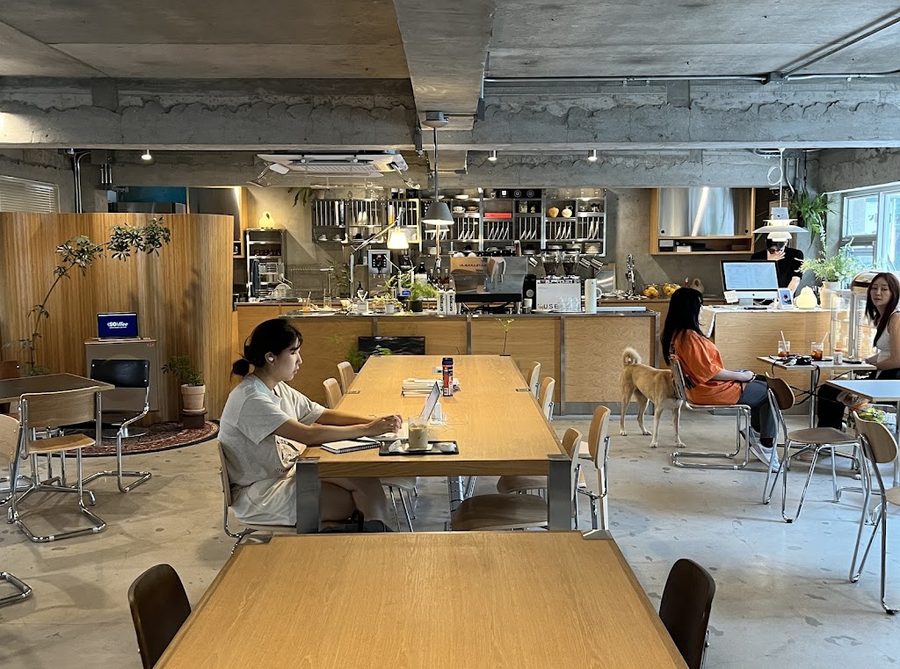 Cafe 517