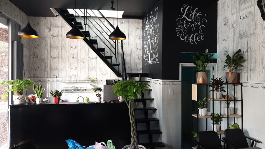 Coffee số 8