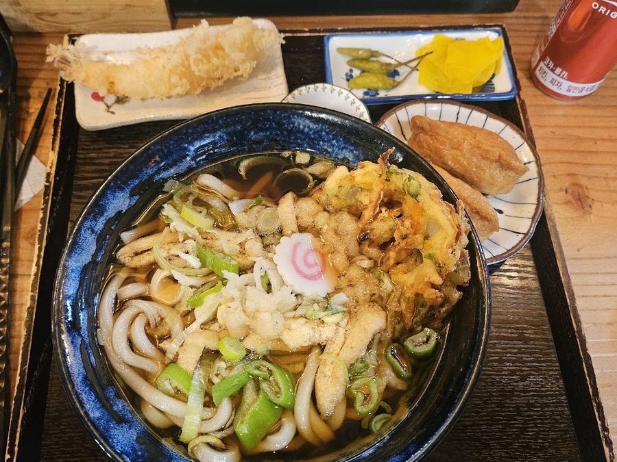 Hikari Udon