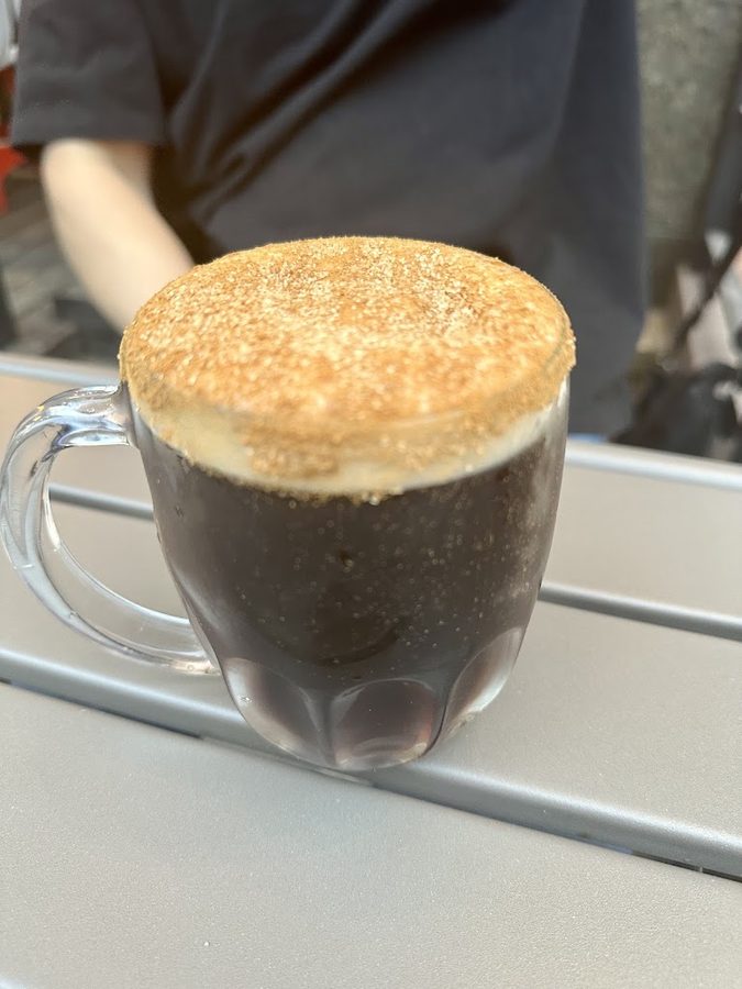 Kozel Dark House
