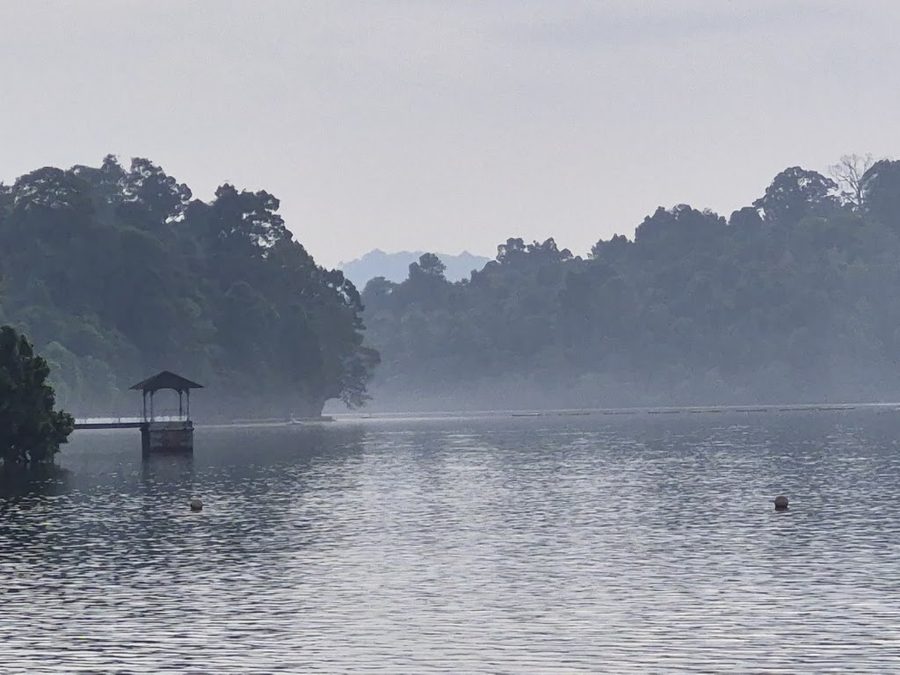 MacRitchie Water Intake Tower & Bridge