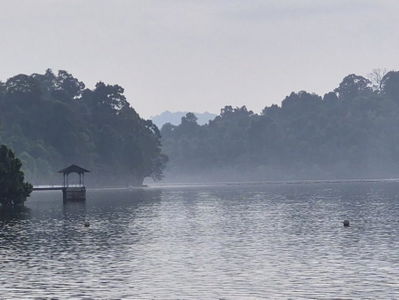 MacRitchie Water Intake Tower & Bridge