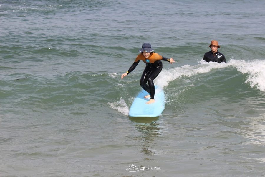 Waikiki Surf