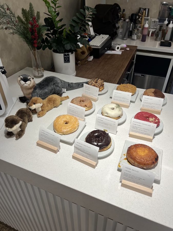 Sun's Donut