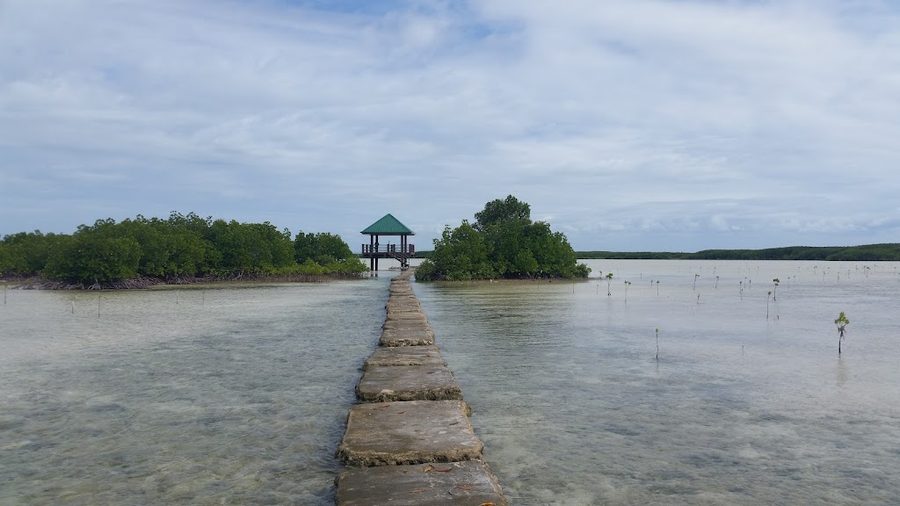 Olango Island Wildlife Sanctuary Nature Center