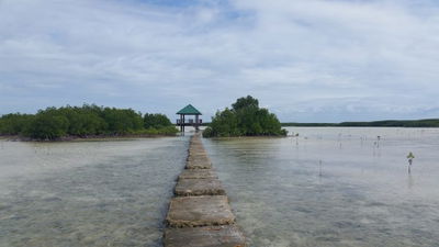 Olango Island Wildlife Sanctuary