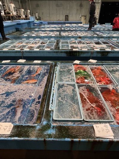 福岡市中央批發市場鮮魚市場
