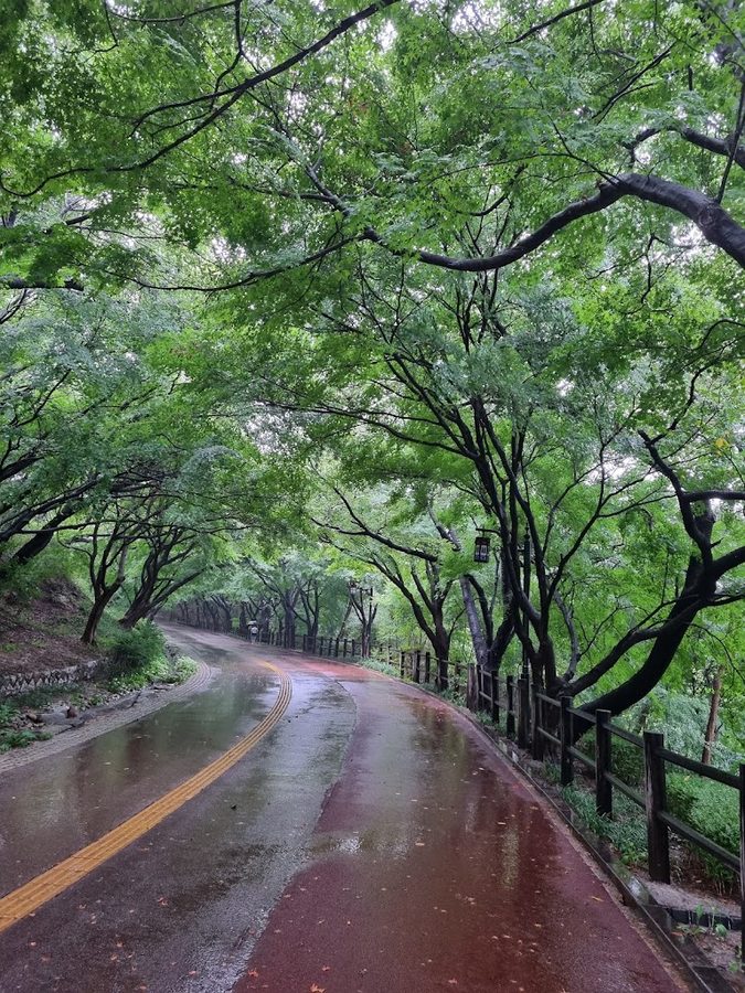 Sowol-gil Ring Road