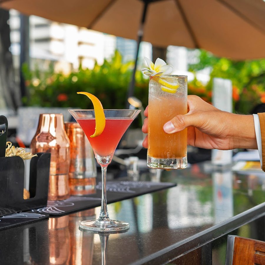 Rainforest Rooftop Bar