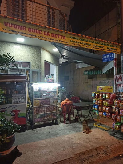 Vương Quốc Cá Betta
